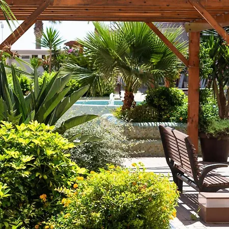 Nuevo México C 431 * Calpe